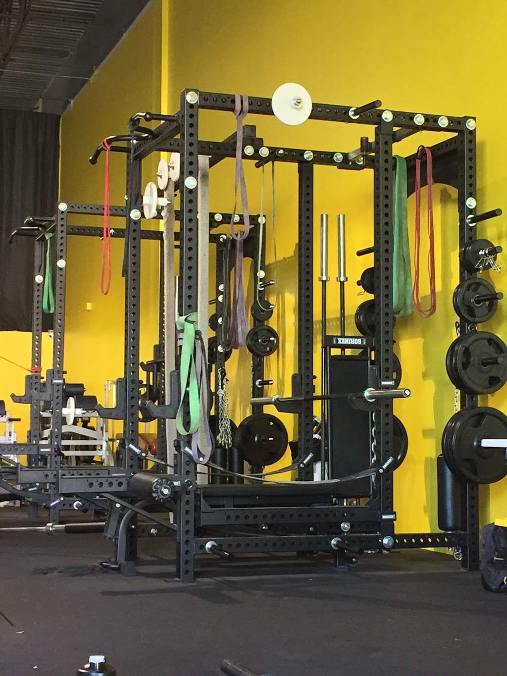 Exclusive Performance Fitness | 21011 Johnson St #127, Pembroke Pines, FL 33029, USA | Phone: (954) 383-9560