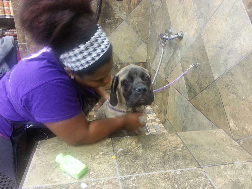 Pet Valu | 1308 Main Chapel Way, Gambrills, MD 21054, USA | Phone: (410) 451-1585