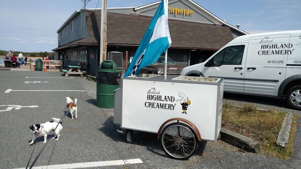 Scottish Highland Creamery | 1319, 314 Tilghman St, Oxford, MD 21654 | Phone: (410) 924-6298