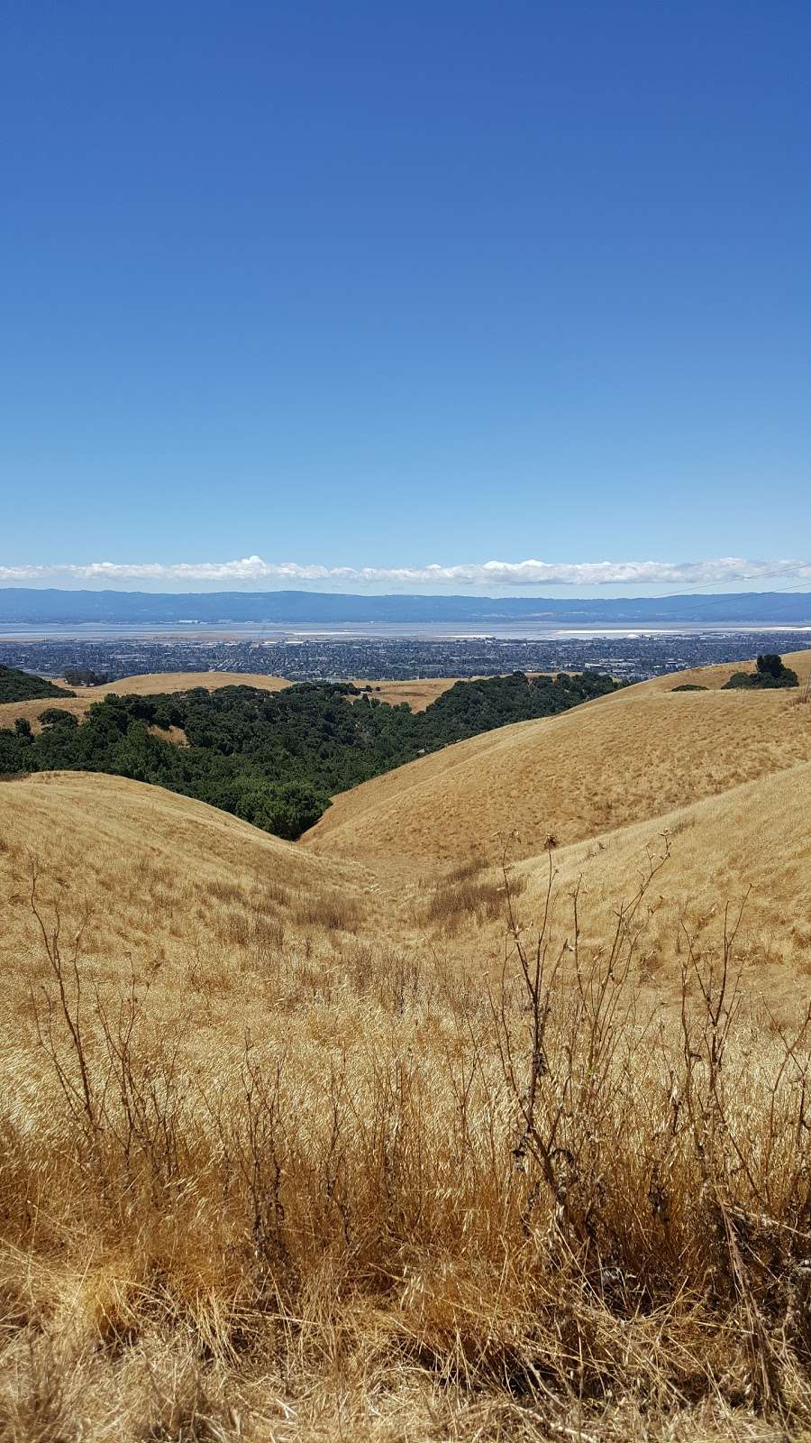 Vargas Plateau Regional Park | 2536 Morrison Canyon Rd, Fremont, CA 94539, USA | Phone: (510) 544-3246