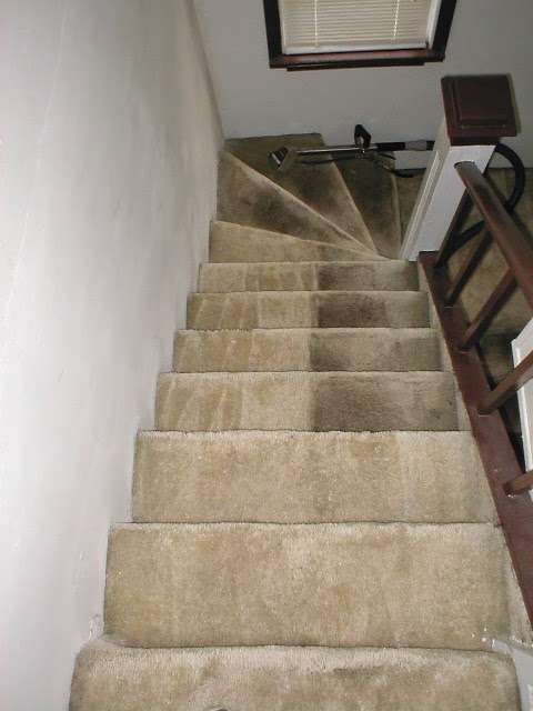 DC Carpet Care LLC of Northeast Philadelphia | 3050 Brighton St, Philadelphia, PA 19149, USA | Phone: (215) 901-3313