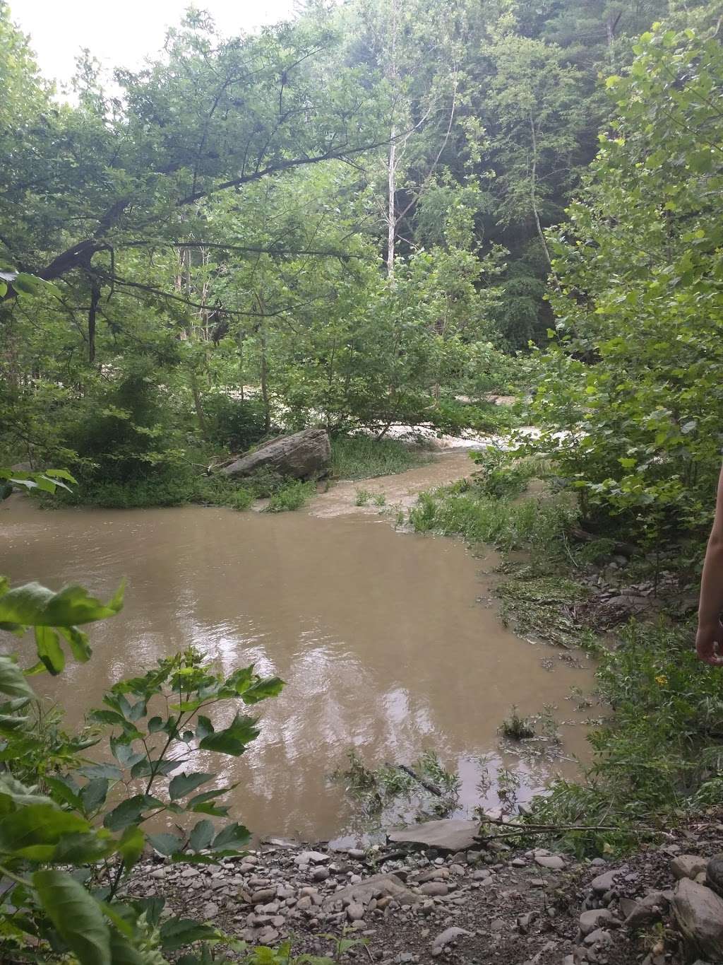 Rocky Glen State Park Scenic Reserve | 27 Glen Rd, Sandy Hook, CT 06482, USA | Phone: (860) 424-3200