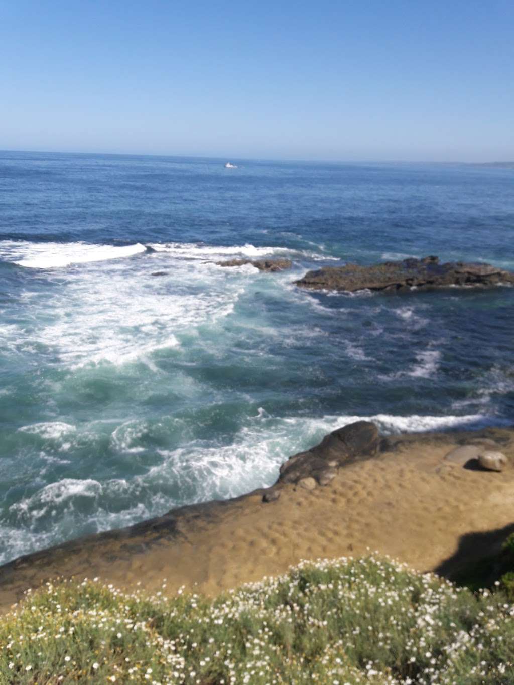 La Jolla Natural Park | 7333 Encelia Dr, La Jolla, CA 92037, USA