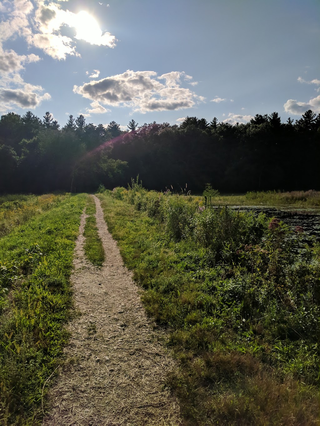 Cranberry Bog Reservation parking | 65 Elm St, Chelmsford, MA 01824, USA | Phone: (978) 250-5201