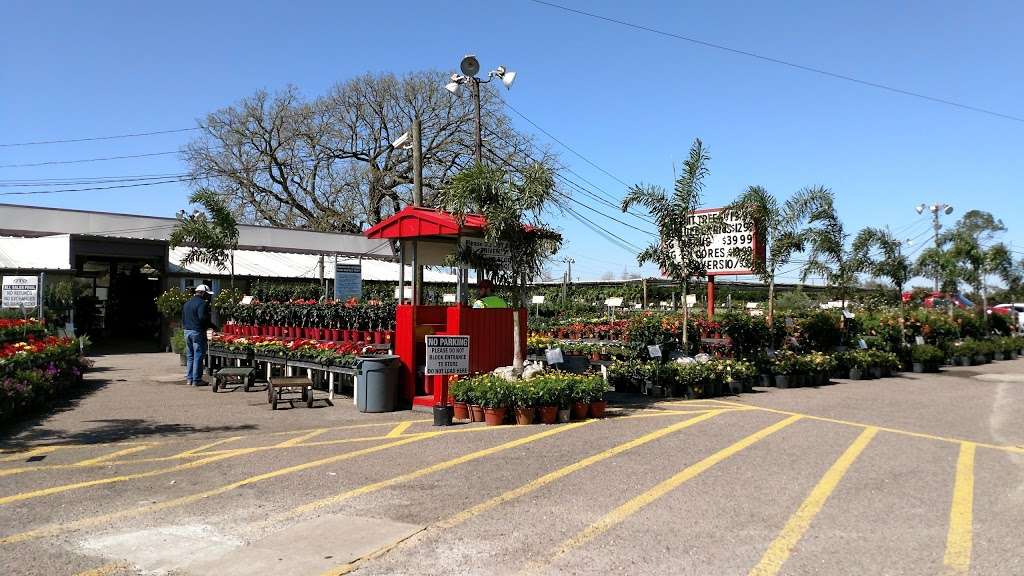 Houston Garden Centers | 7225 Hwy 6, Missouri City, TX 77459 | Phone: (281) 499-8488