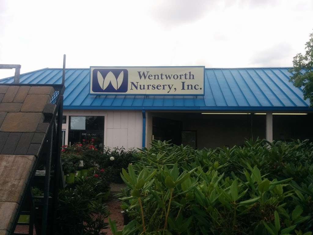 Wentworth Nursery | 30315 Three Notch Rd, Charlotte Hall, MD 20622 | Phone: (301) 884-5292
