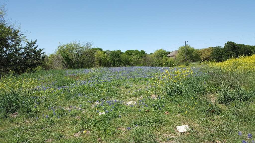 Menoo Woods | Unnamed Road, Schertz, TX 78154, USA