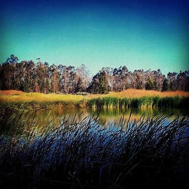 Wetlands Edge Park | 2 Eucalyptus Dr, American Canyon, CA 94503, USA