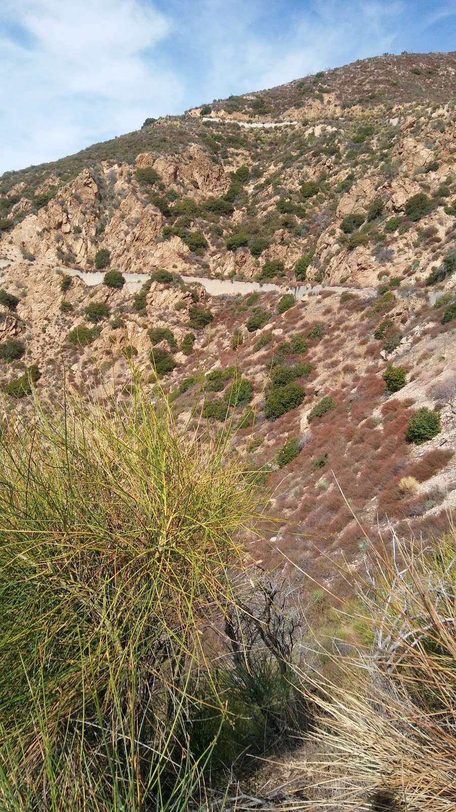 Echo Mountain Trail | Mt Lowe Rd, Altadena, CA 91001, USA