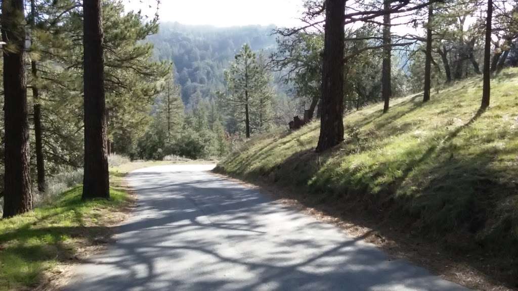 Tehachapi Mountain Park Entrance | 17336 Water Canyon Rd, Tehachapi, CA 93561, USA Tehachapi Mountain Park Entrance | 17336 Water Canyon Rd, Tehachapi, CA 93561, USA