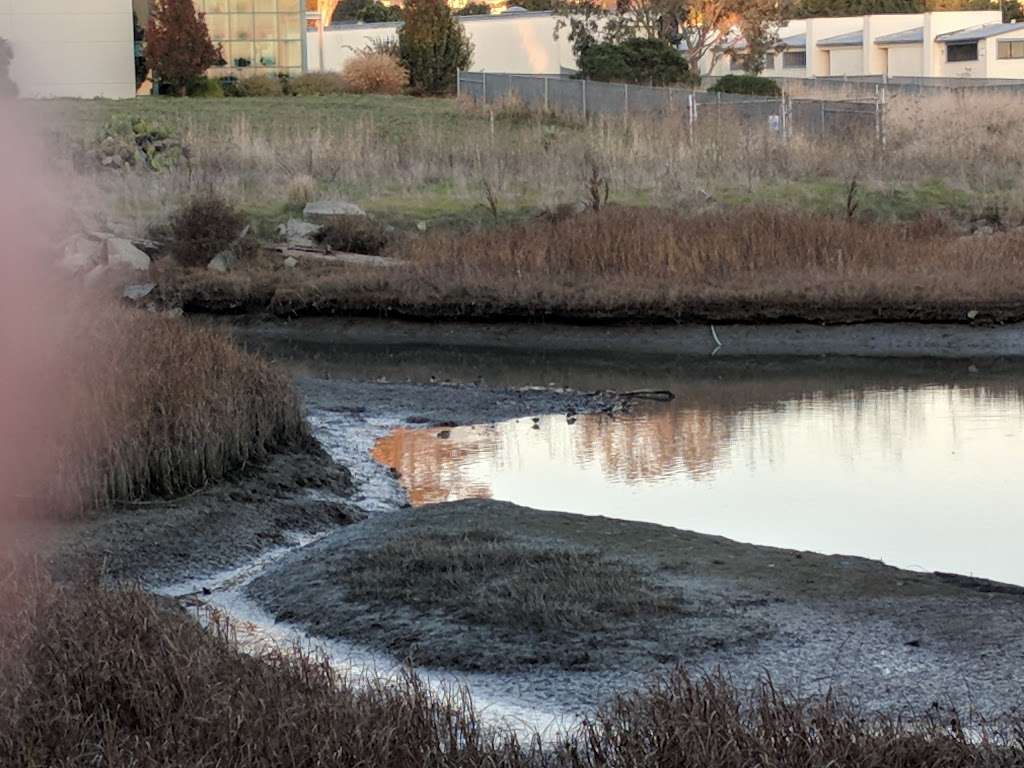 Meeker Slough | Richmond, CA 94804, USA