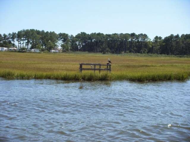 Mariners Cove | 35356 Sussex Ln, Millsboro, DE 19966, USA | Phone: (888) 509-1652