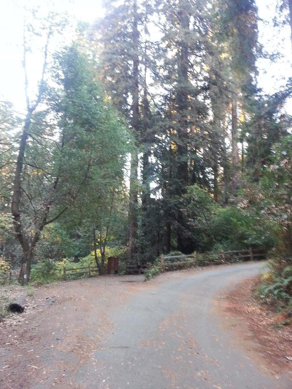 Upper Campground | Lagunitas, CA 94938