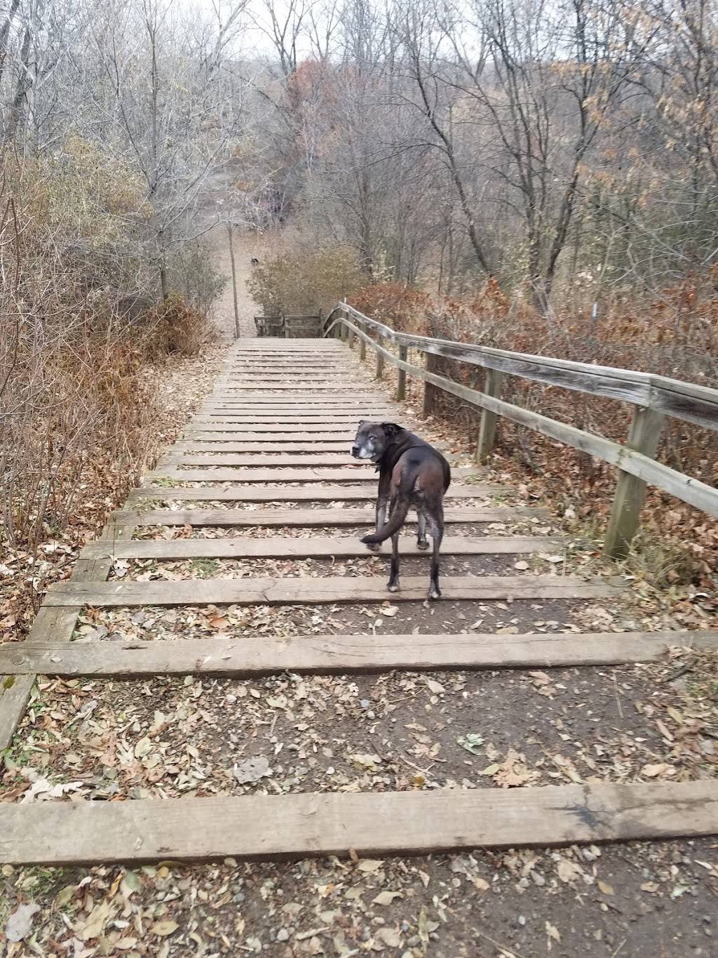 Arlington/Arkwright Off Leash Dog Park | 400 Arlington Ave E, St Paul, MN 55130, USA | Phone: (651) 632-5111