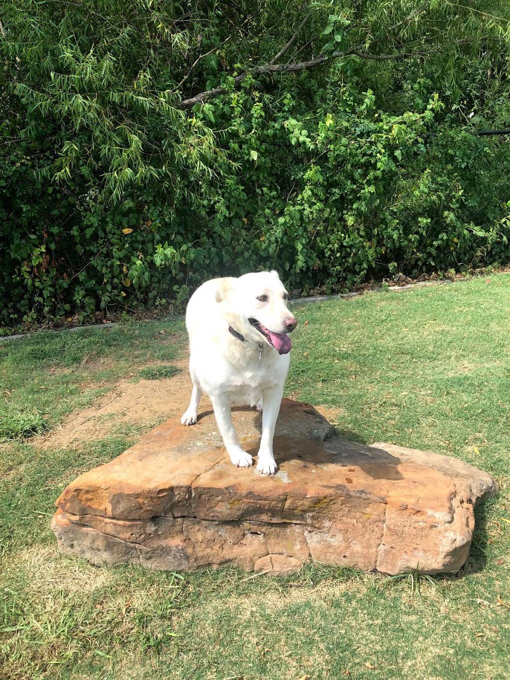 Coppell Dog Park | 400 S MacArthur Blvd, Coppell, TX 75019, USA | Phone: (972) 462-0022