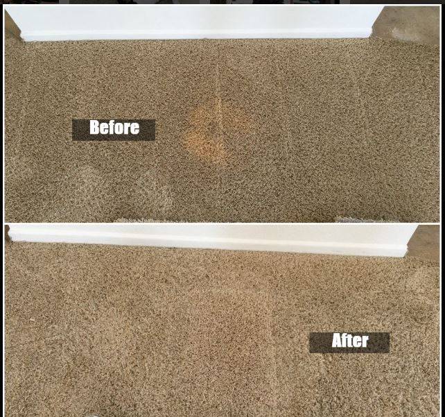 Fabricare Carpet & Upholstery Cleaning | 2705 Fayetteville St, Durham, NC 27707, USA | Phone: (919) 688-5100