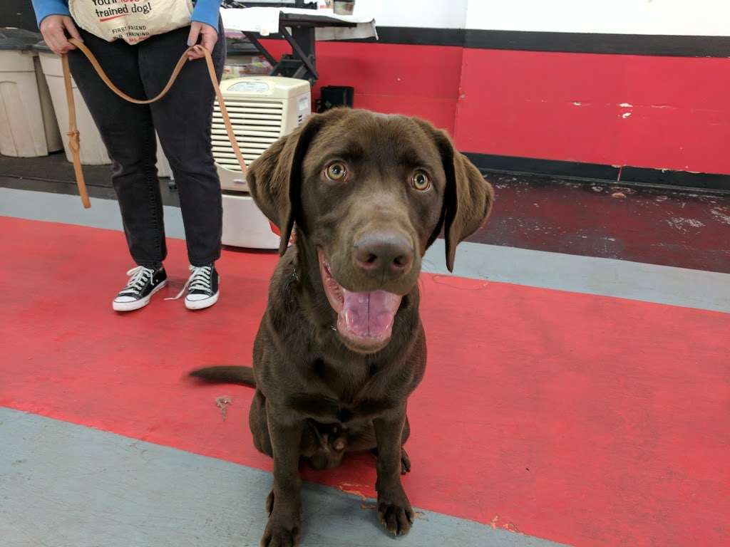 First Friend K-9 Training | 12401 Reynolds Dr, Fishers, IN 46038, USA | Phone: (317) 842-4199