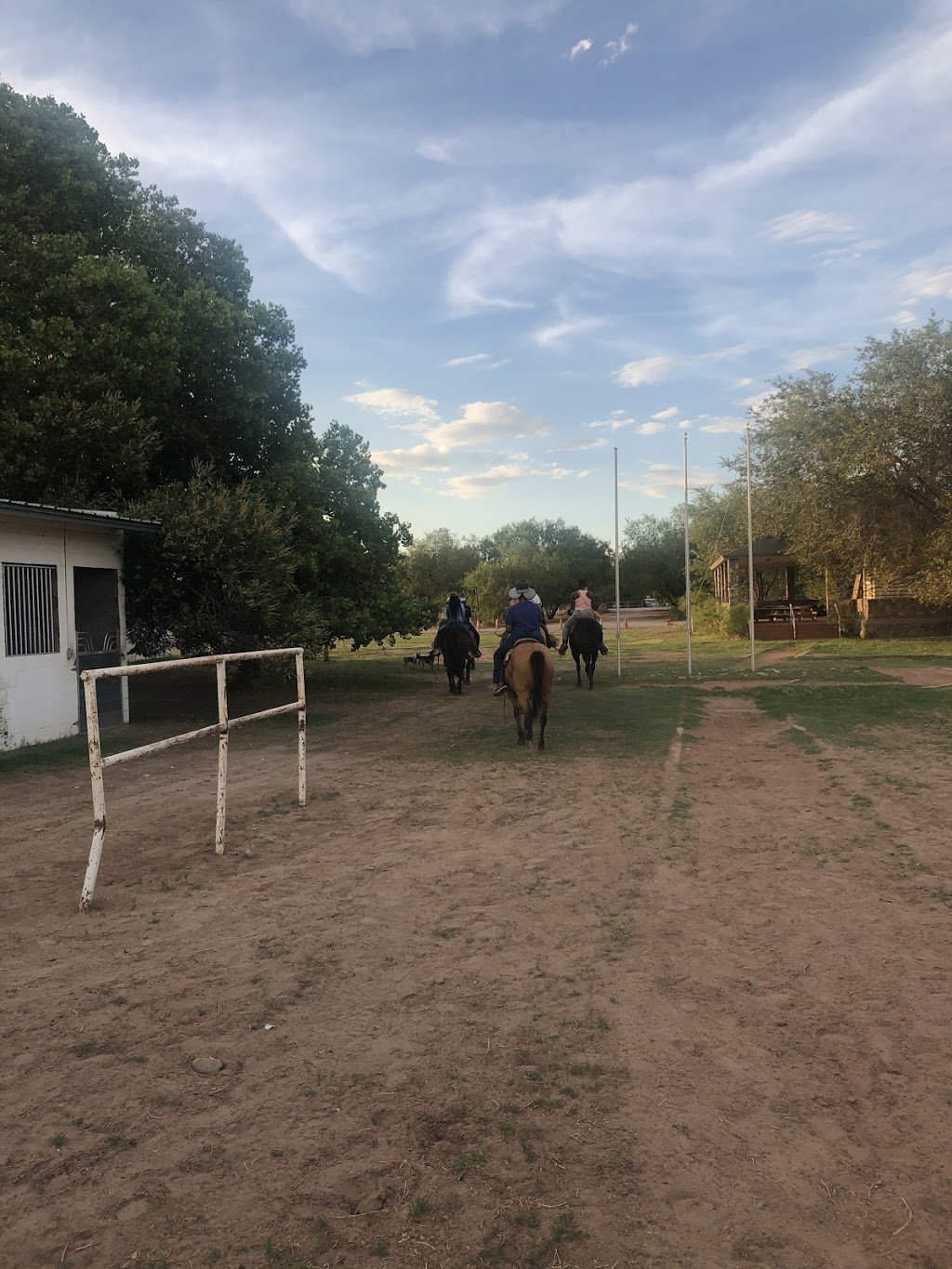 El Paso Valley Trail Rides and Horseback River Rides | 327Strahan Roadbox3175, Canutillo, TX 79835, USA | Phone: (915) 472-3519