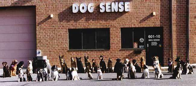 Dog Sense Unlimited | 601-10 Dover Rd, Rockville, MD 20850, USA | Phone: (301) 340-8766