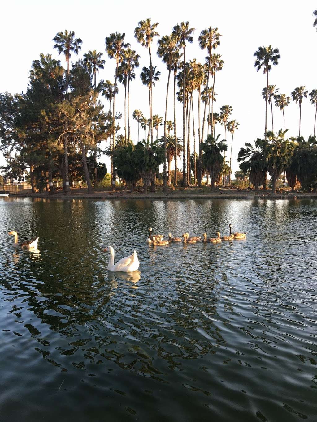 Alondra Park Fishing Pond | Lawndale, CA 90260, USA | Phone: (310) 217-8366