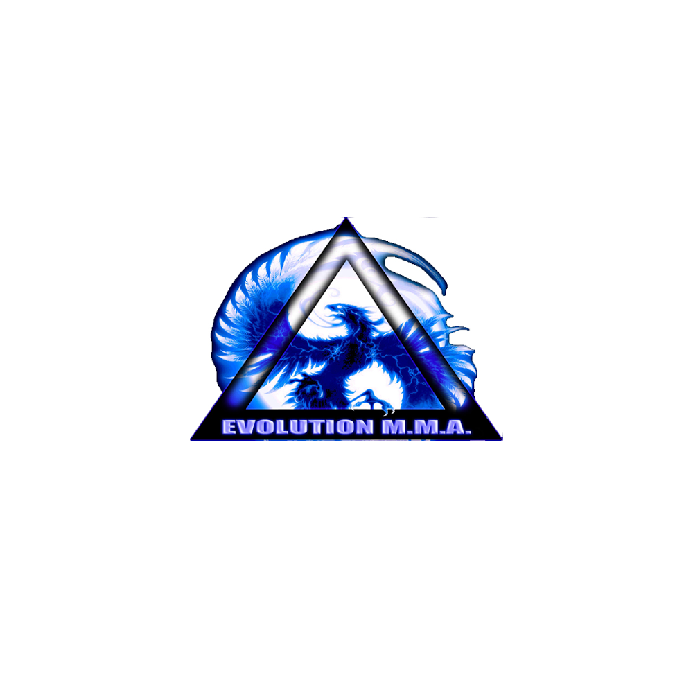 Evolution Mixed Martial Arts | 1600 Shore Rd, Naperville, IL 60563, USA | Phone: (847) 261-4662