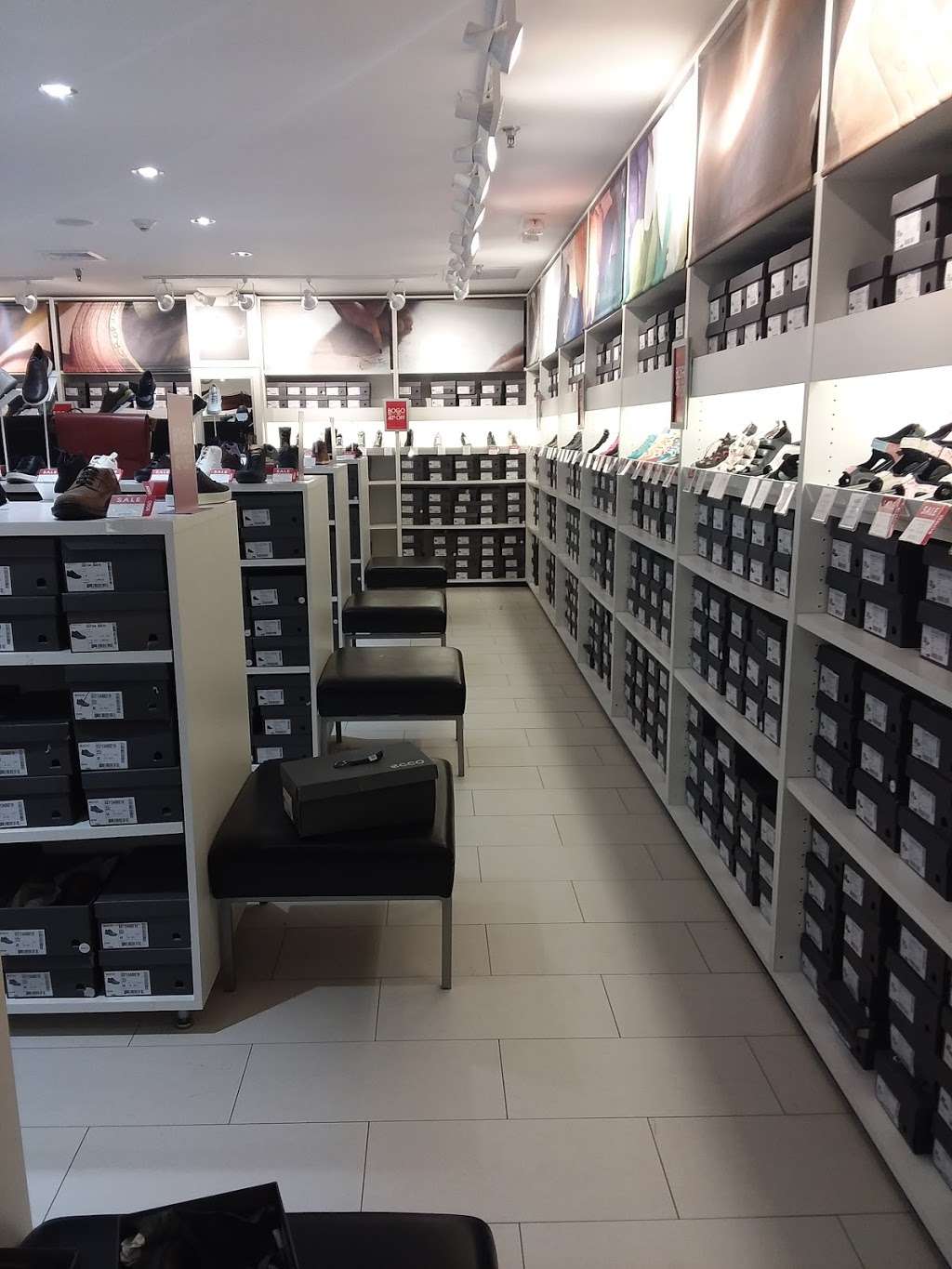 ecco store new york