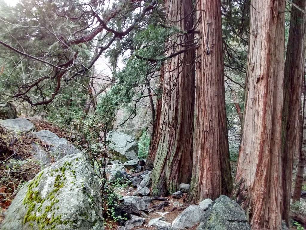 Icehouse Canyon Trailhead | Ice House Canyon Rd, Mt Baldy, CA 91759, USA | Phone: (626) 335-1251