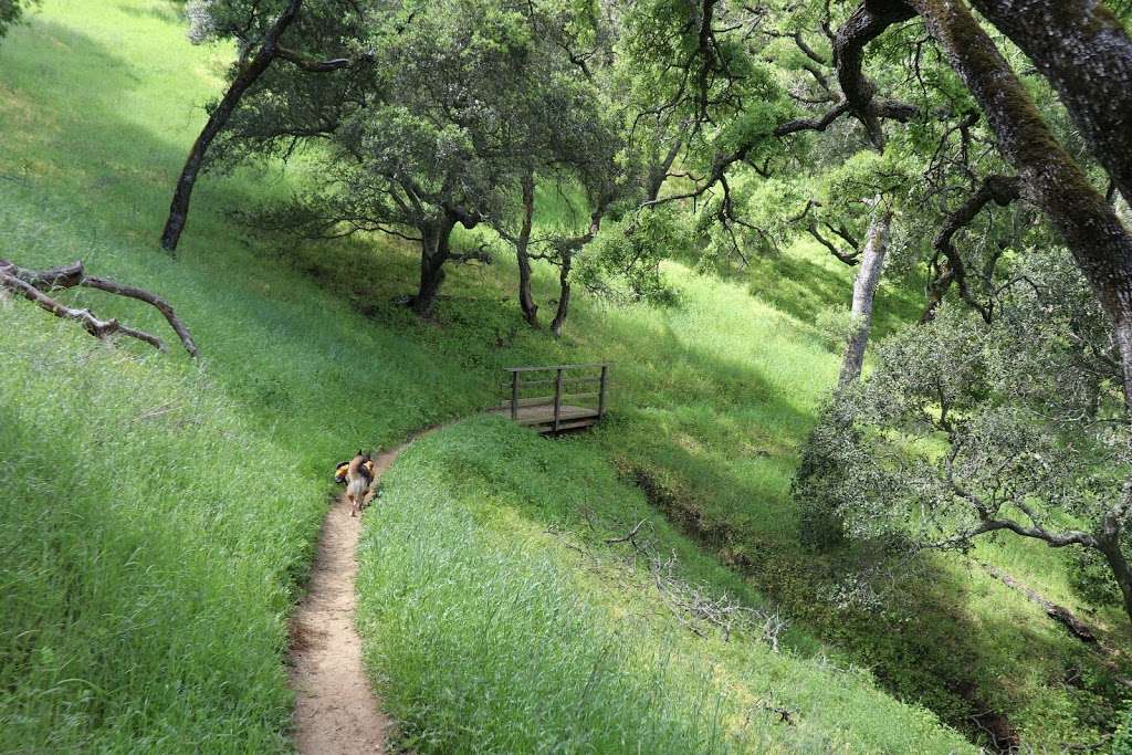 Mount Wanda Trailhead | Cal Riding & Hiking Trail, Martinez, CA 94553, USA