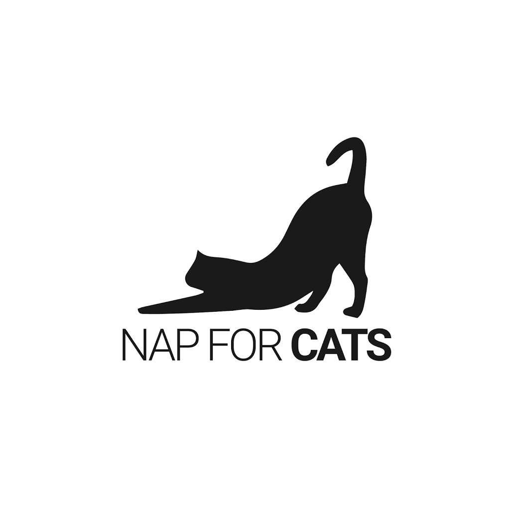 Nap for Cats | 185 Liberty Street A12, Little Ferry, NJ 07643, USA | Phone: (201) 207-8864