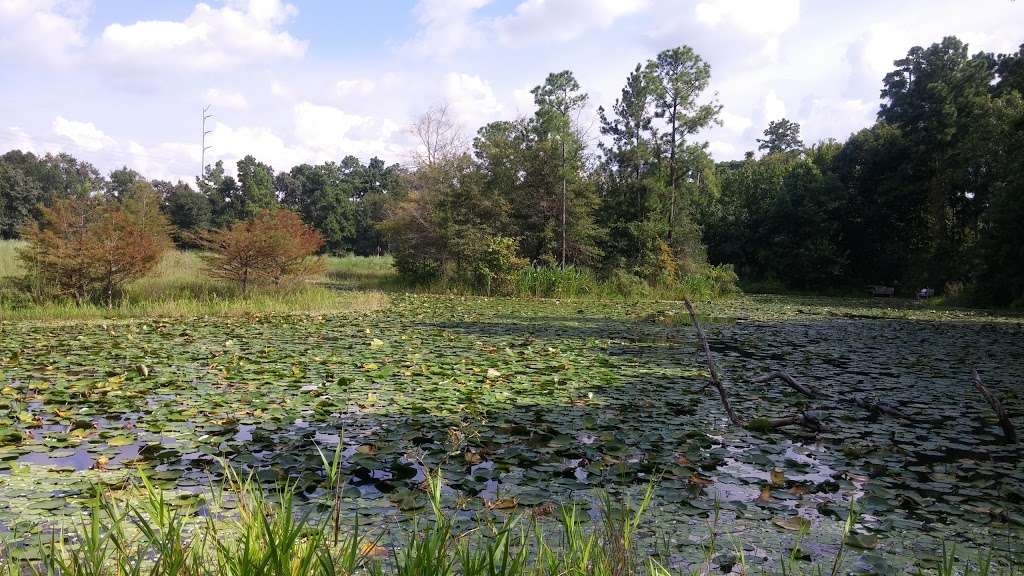 Arboretum Lake | Houston, TX 77024, USA