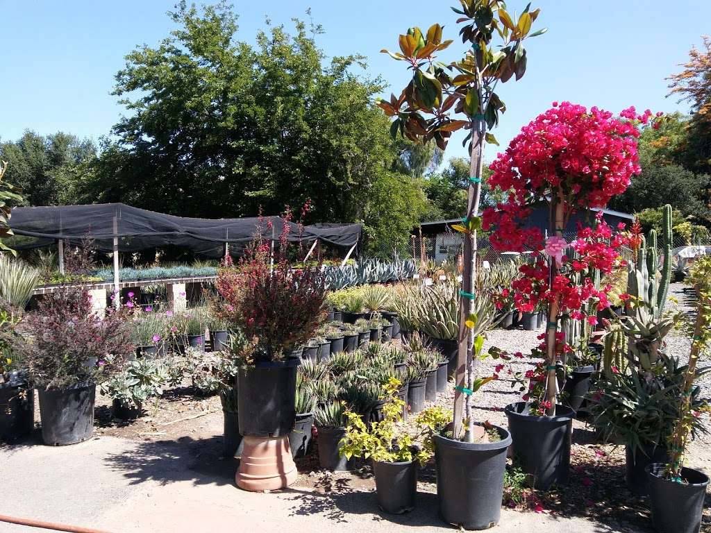 Javier Flowers & Garden Inc | 1970 N Twin Oaks Valley Rd, San Marcos, CA 92069, USA | Phone: (760) 591-0271