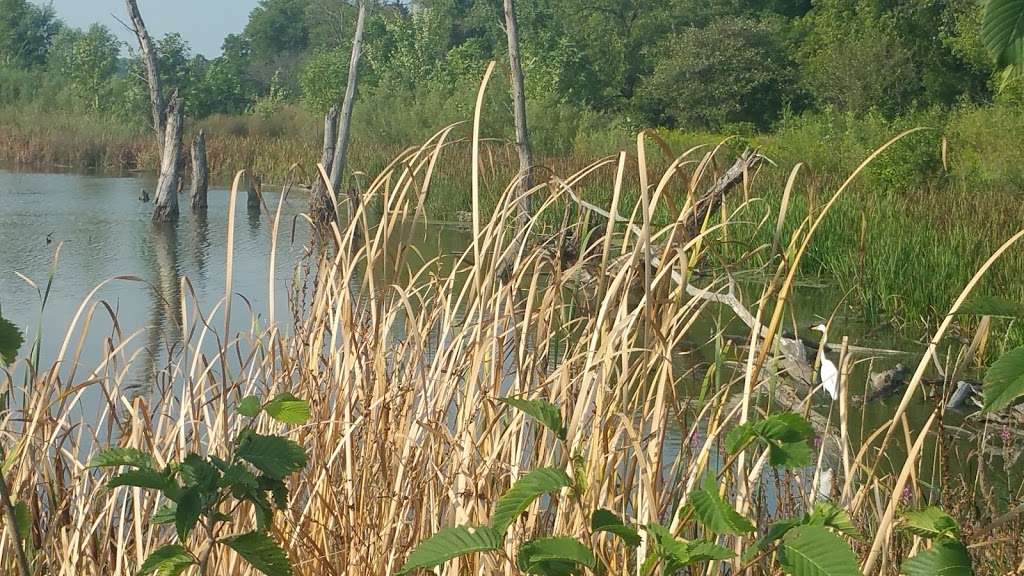 Mellody Farm Nature Preserve | 350 S Waukegan Rd, Lake Forest, IL 60045, USA | Phone: (847) 234-3880