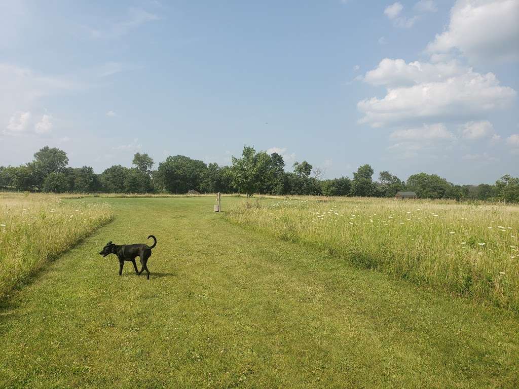 Terri Tinsley Dog Exercise Area | W5098 Canine Dr, Johnson Creek, WI 53038, USA | Phone: (920) 674-7260