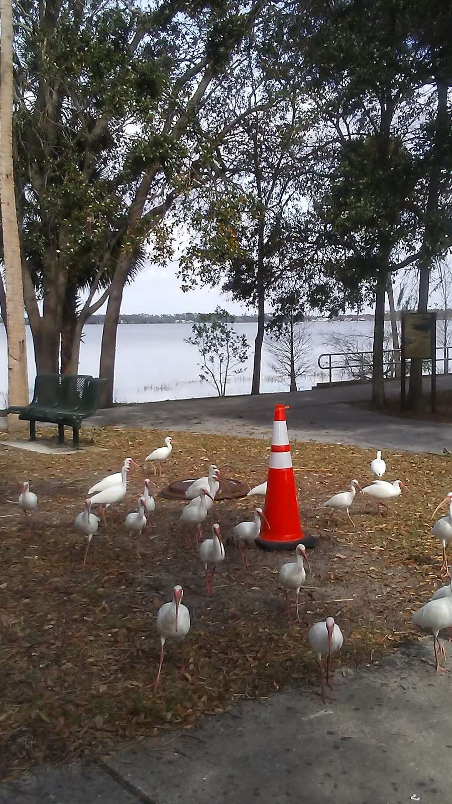 Lake Hartridge Nature Park | 1775-1799 Havendale Blvd NW, Winter Haven, FL 33881, USA