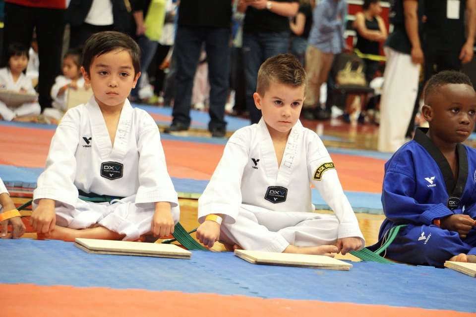 Master Lees World Champion Tae Kwon Do Firethorne | 2780 FM 1463 #204, Katy, TX 77494 | Phone: (832) 437-2898