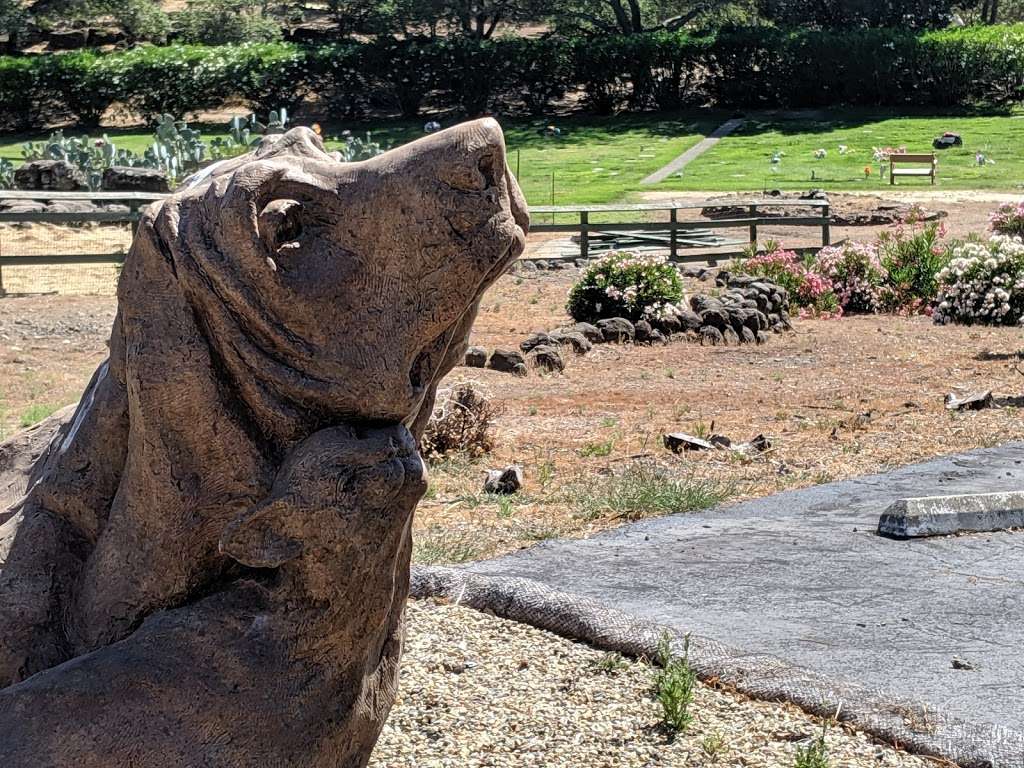 Bubbling Well Pet Memorial Park | 2462 Atlas Peak Road Please call ahead. Temporary business office location:, 935 Enterprise Way, Napa, CA 94558, USA | Phone: (707) 255-3456