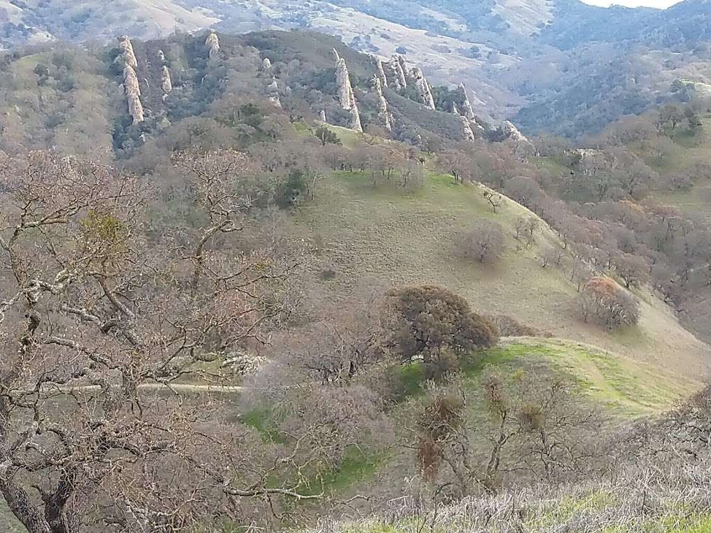 Castle Rock Trail Entrance | 1033 Castle Rock Rd, Walnut Creek, CA 94598