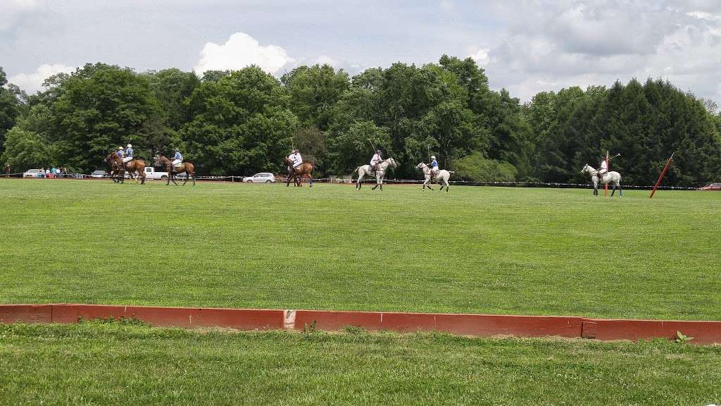 Tinicum Park | 963 River Rd, Upper Black Eddy, PA 18972, USA | Phone: (908) 996-3321