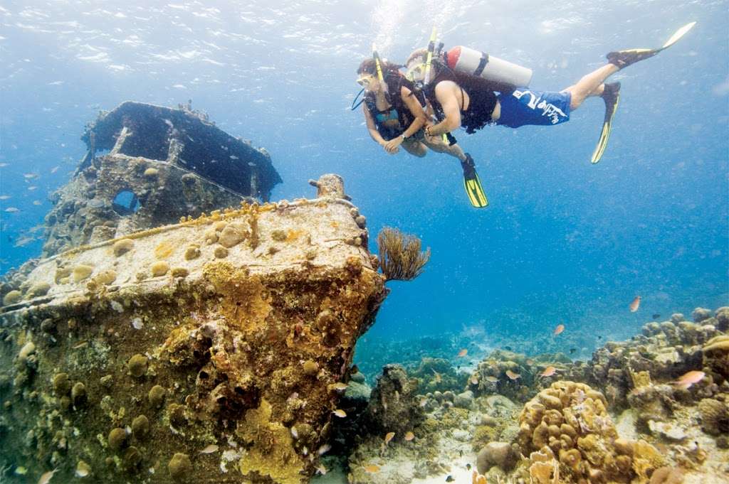 Divers West-PADI 5 Star IDC-Scuba Diving Training | 257 S Rosemead Blvd, Pasadena, CA 91107, USA | Phone: (626) 529-5220