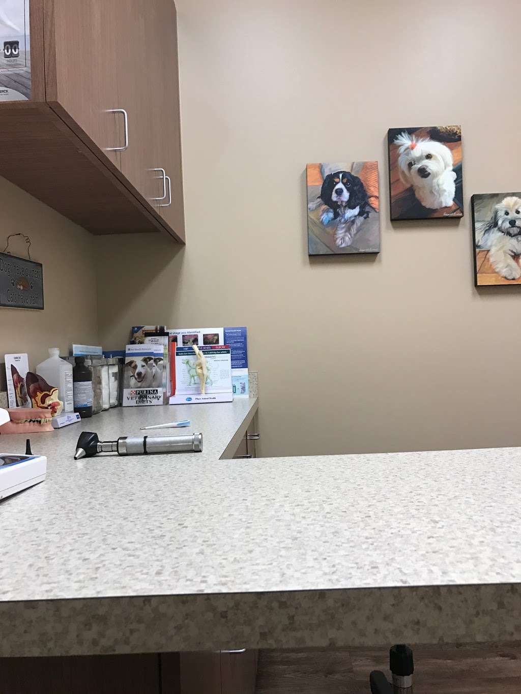 Shadow Creek Veterinary Clinic | 11041 Shadow Creek Pkwy #101, Pearland, TX 77584, USA | Phone: (713) 436-3848