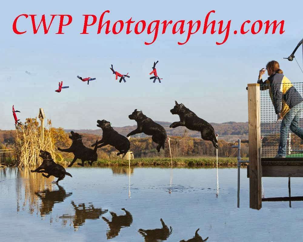 CWP Photography | 60 Husson Rd, Felton, PA 17322 | Phone: (717) 880-0604