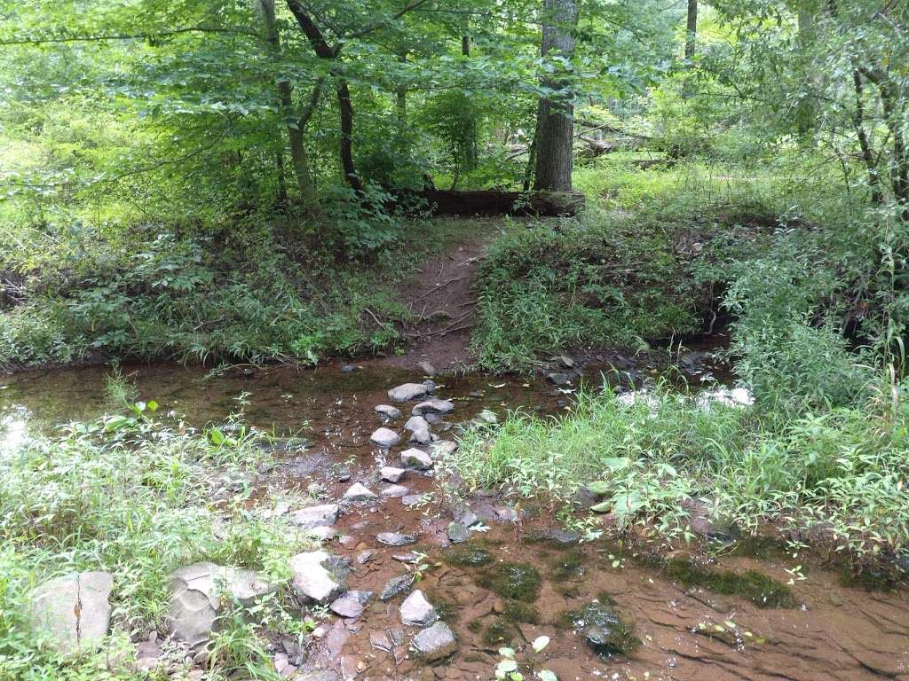 Hiking Trail | 903 Old Vliet Rd, Franklin Park, NJ 08823, USA