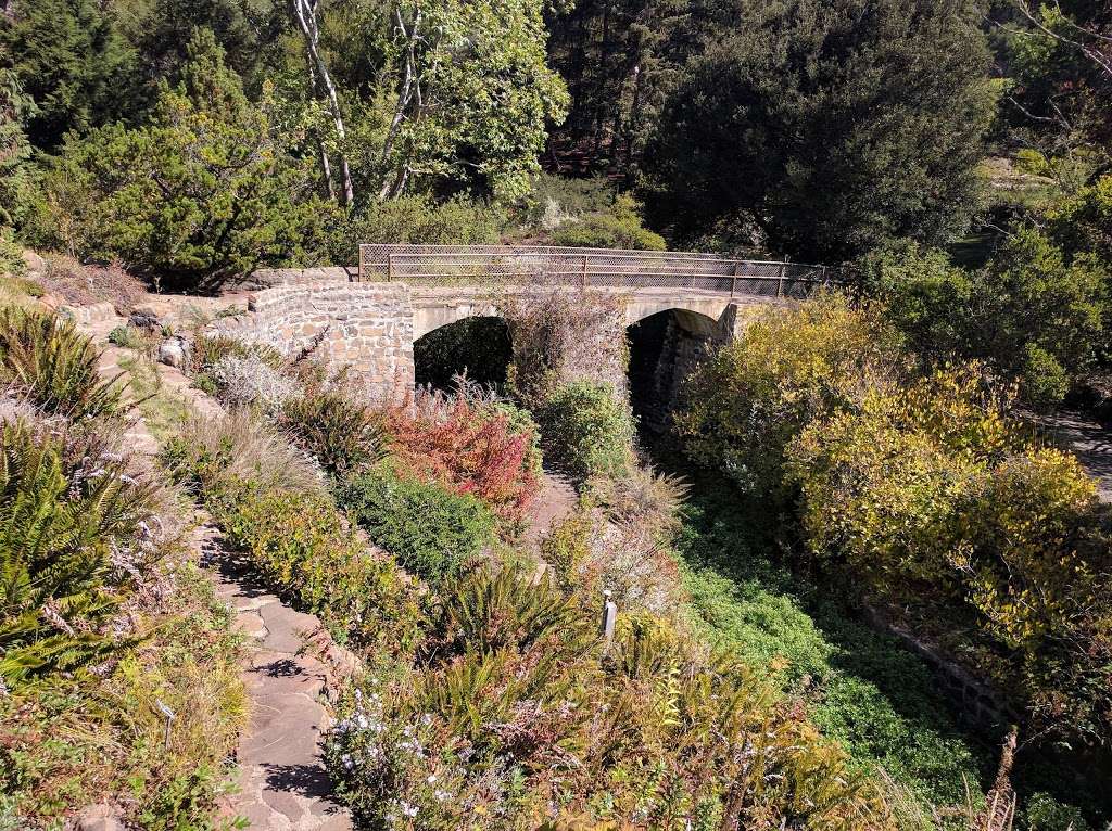 Regional Parks Botanic Garden | Shasta Rd, Berkeley, CA 94708, USA | Phone: (510) 544-3169