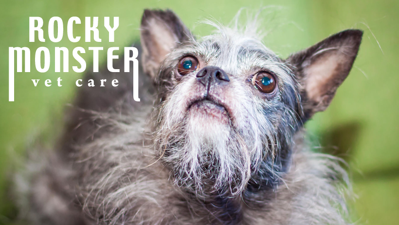 Rocky Monster Vet Care | 3602 River Point Pkwy unit d, Sheridan, CO 80110 | Phone: (303) 781-8387