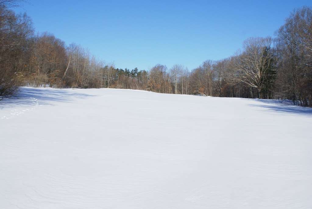 Snake Den State Park Trailhead Parking | 2289 Hartford Ave, Johnston, RI 02919, USA