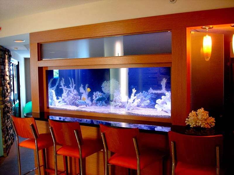 Tropical Reef Aquarium Maintenance | 209 Glenn Ave, Egg Harbor Township, NJ 08234, USA | Phone: (609) 457-6228