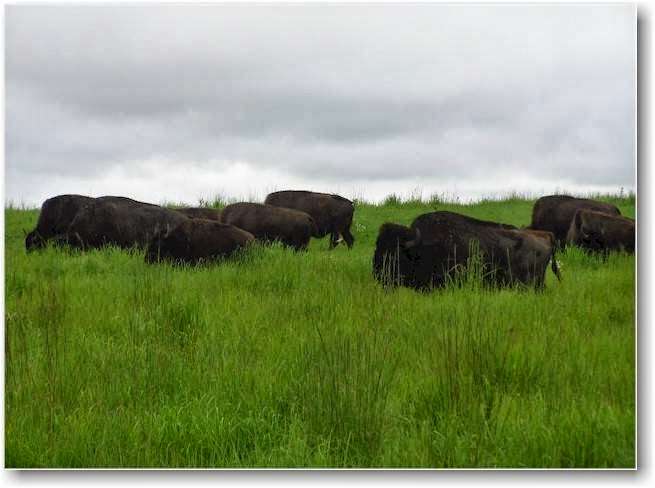 Buffalo Ridge Retreat Center | 1203 Finney Rd, Williamsburg, KS 66095, USA | Phone: (785) 746-5418