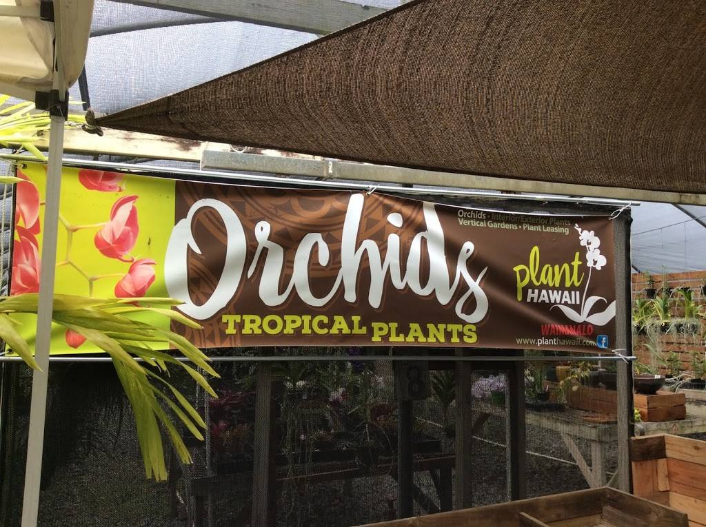 Plant Hawaii | 41-928 Kakaina St, Waimanalo, HI 96795, USA | Phone: (808) 384-2065