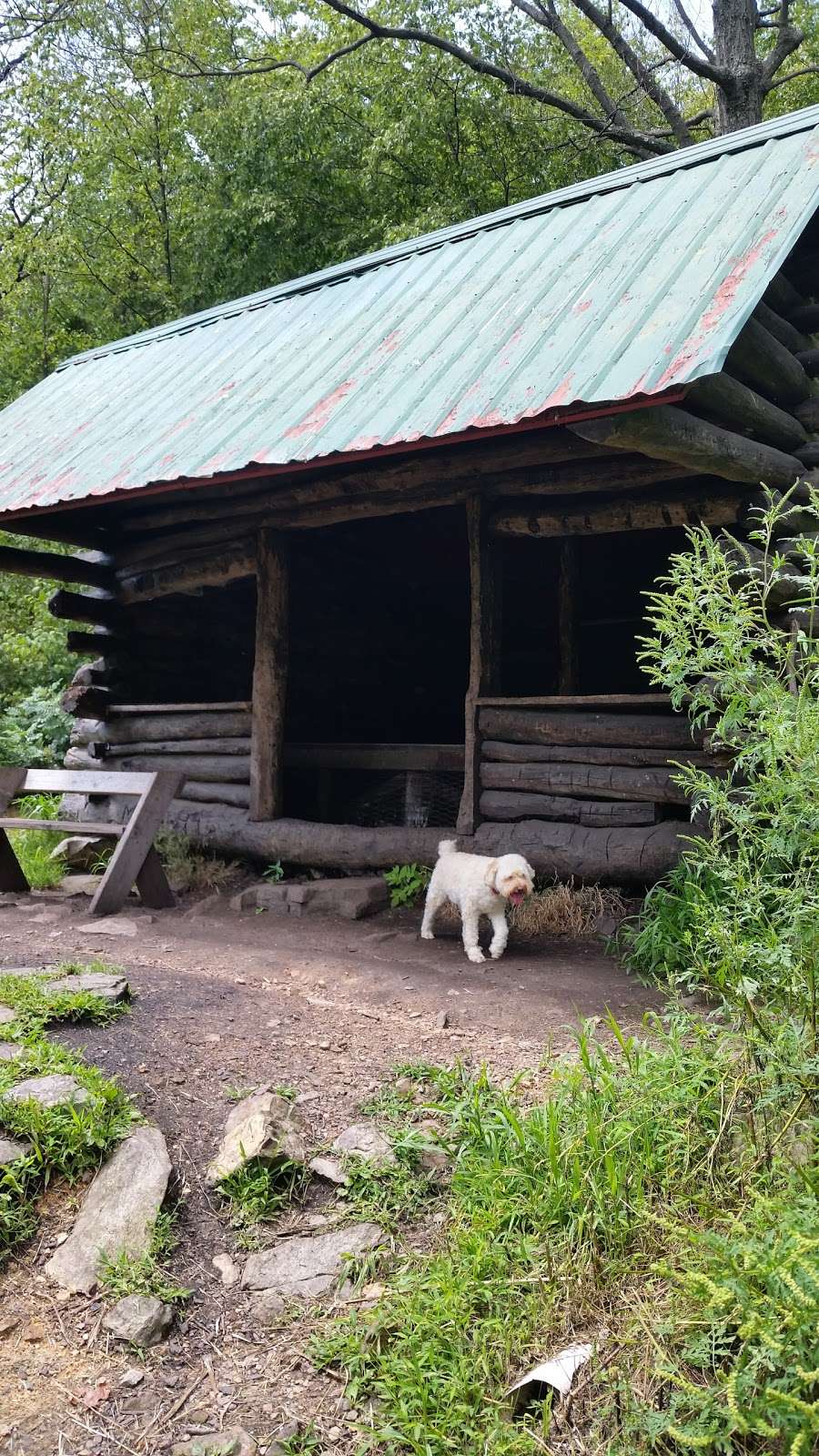 Blue Mountain Loop | Appalachian Trail, Slatington, PA 18080, USA