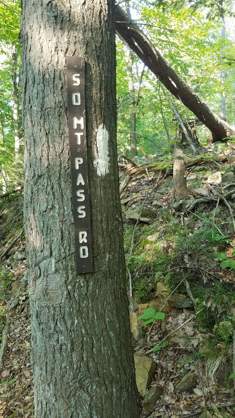 Appalachian Trail | S Mountain Pass Rd, Garrison, NY 10524, USA